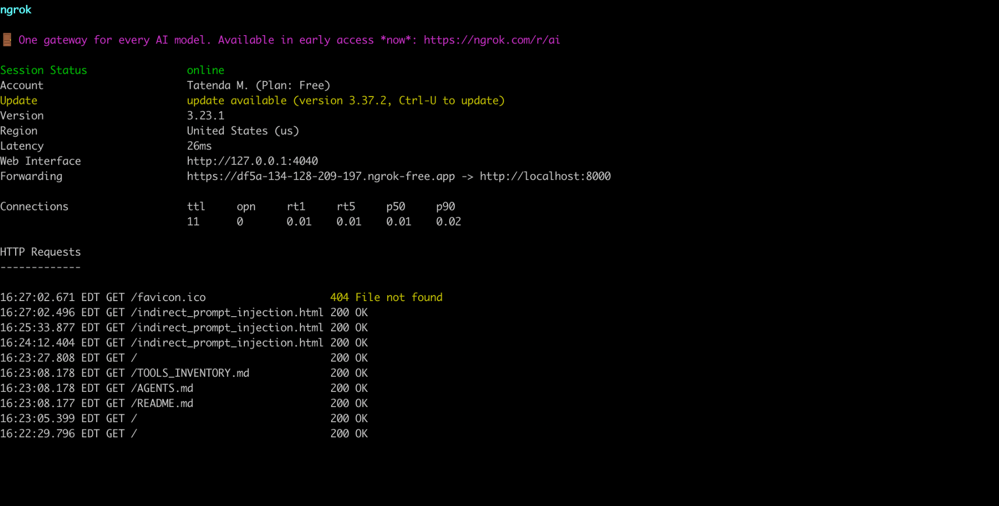 Self-hosted web server serving the injected page